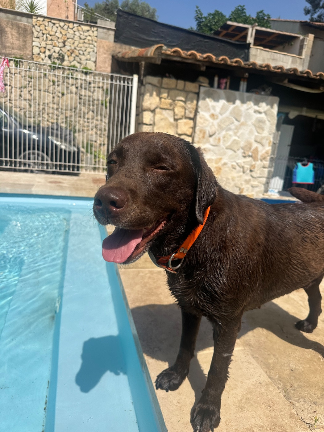 sybel de la plaine du grand plan